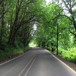 Just outside of vernonia 