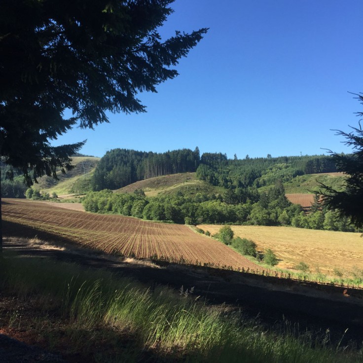 Petal Pedal 2016 Silverton Oregon