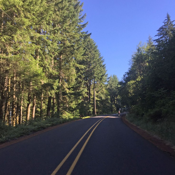 Petal Pedal 2016 Silverton Oregon