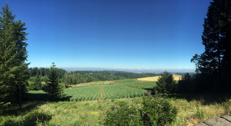 Petal Pedal 2016 Silverton Oregon