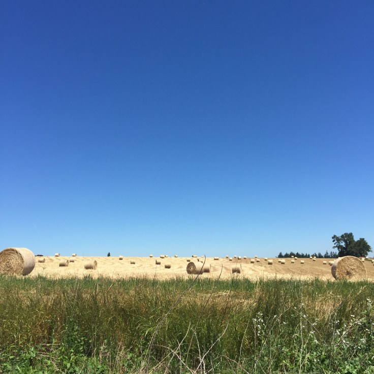 Petal Pedal 2016 Silverton Oregon