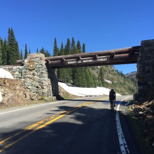 Chinook Mount Rainier Washington
