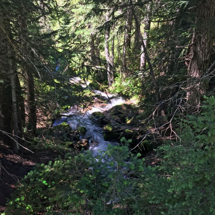 still_creek_connector2