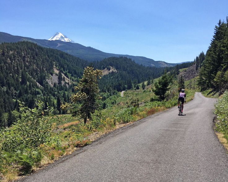 nf16_vista_ridge_001_web