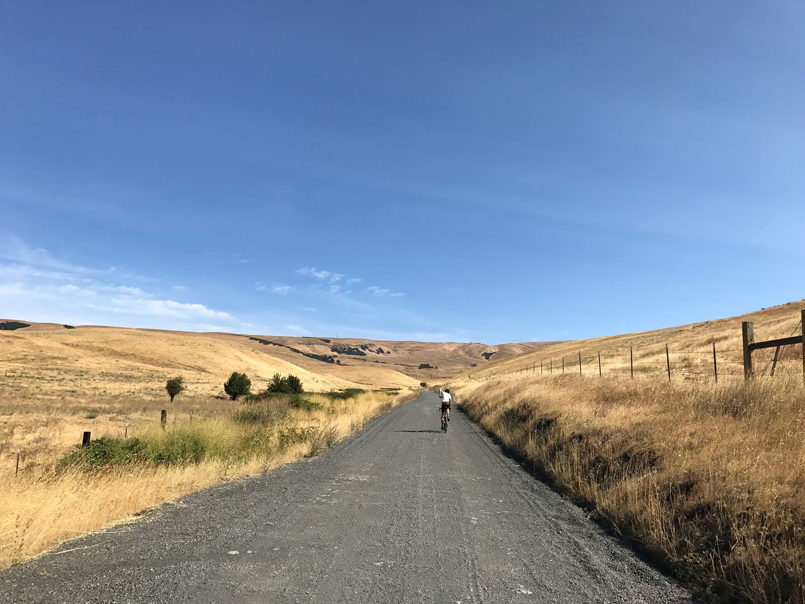 dalles_mt_rd_01_web