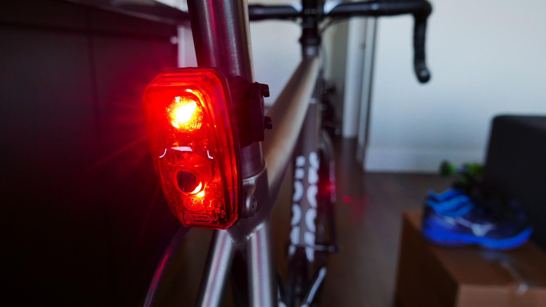 daybot_buckyrides-19