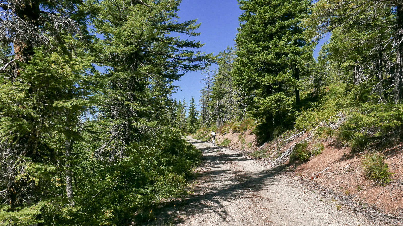 Gifford Pinchot Explore