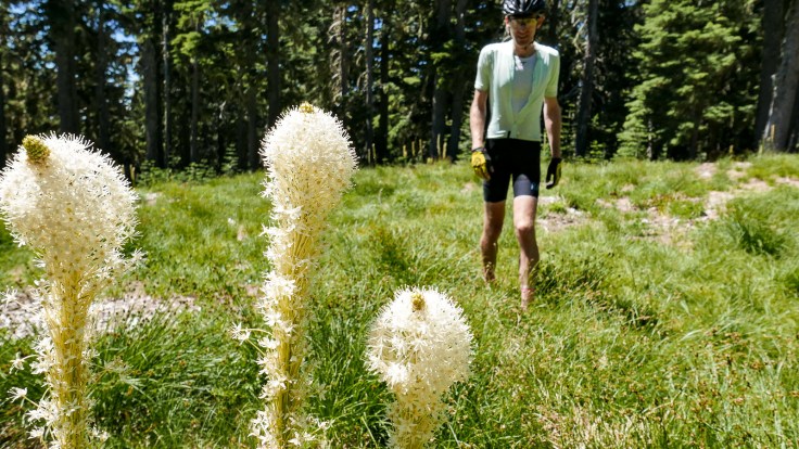  timberline explore 6c
