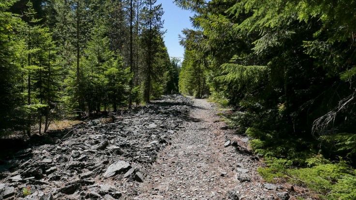 timberline explore 6c